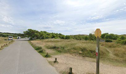 Paved road through a grassy area, with trees and a yellow signpost. Vehicles and sky visible.