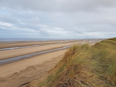 Sandy beach with tidal channels under a cloudy sky, seen from a grassy dune.