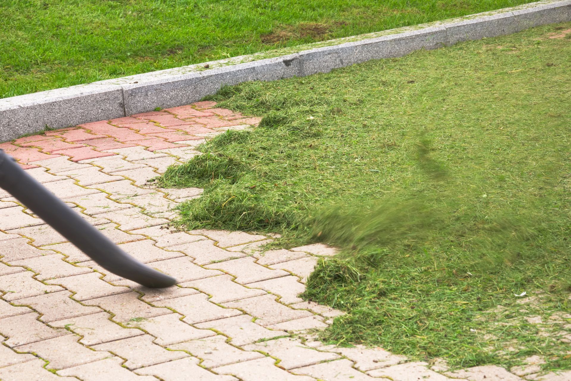Yard Clean Up in Charleston, SC
