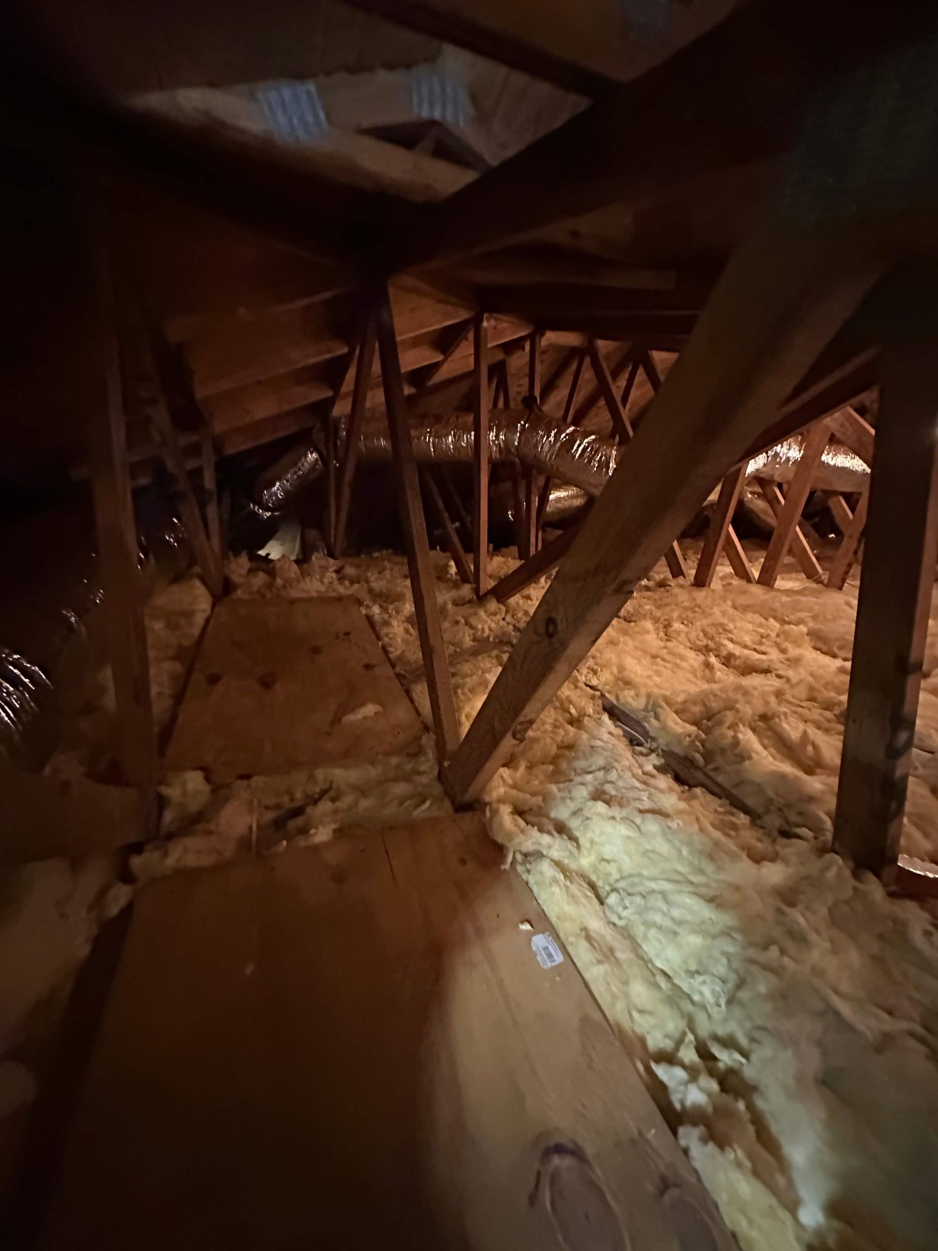 A person is standing in a dark attic with a flashlight.