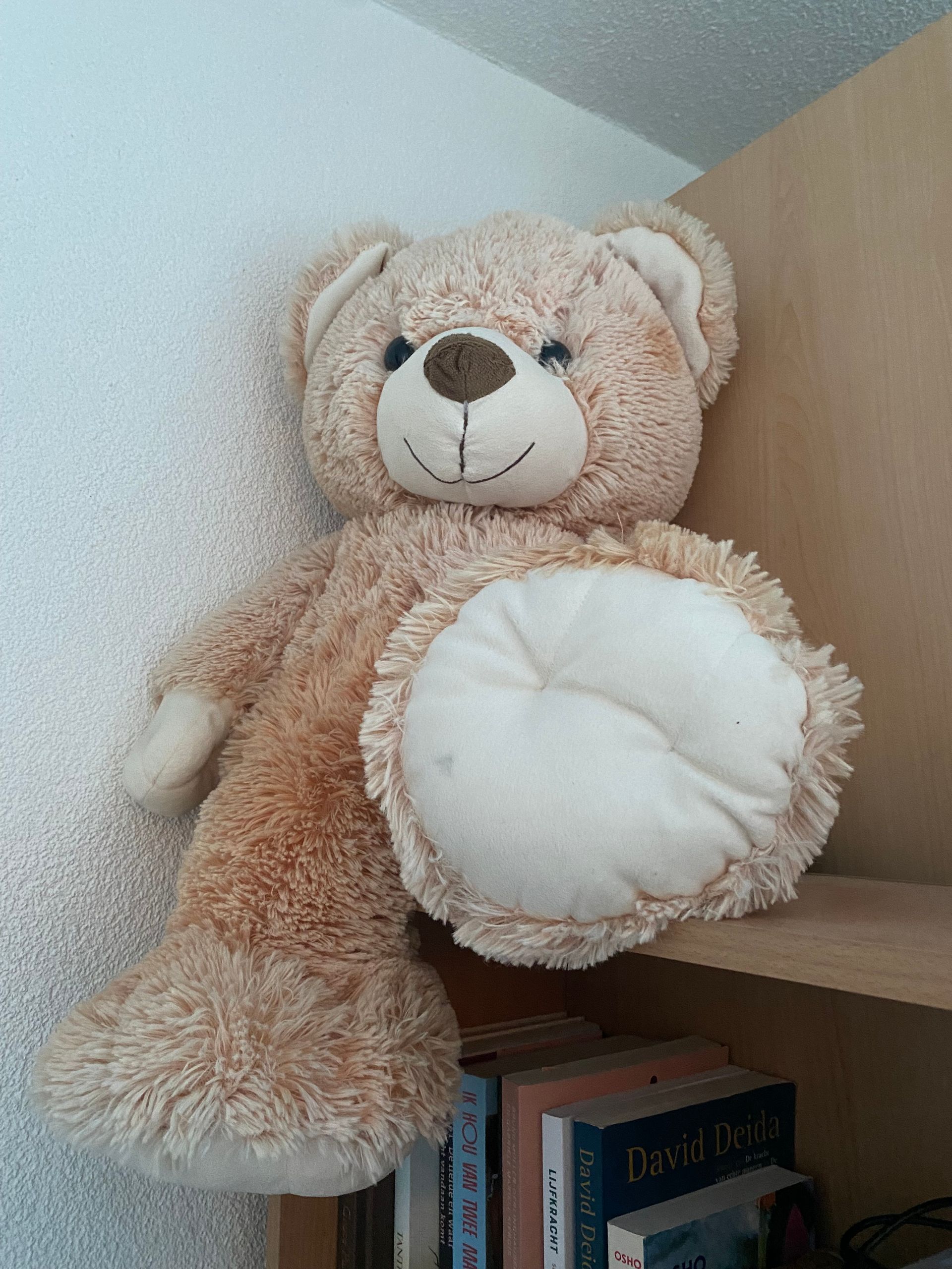 knuffelbeer massagekamer