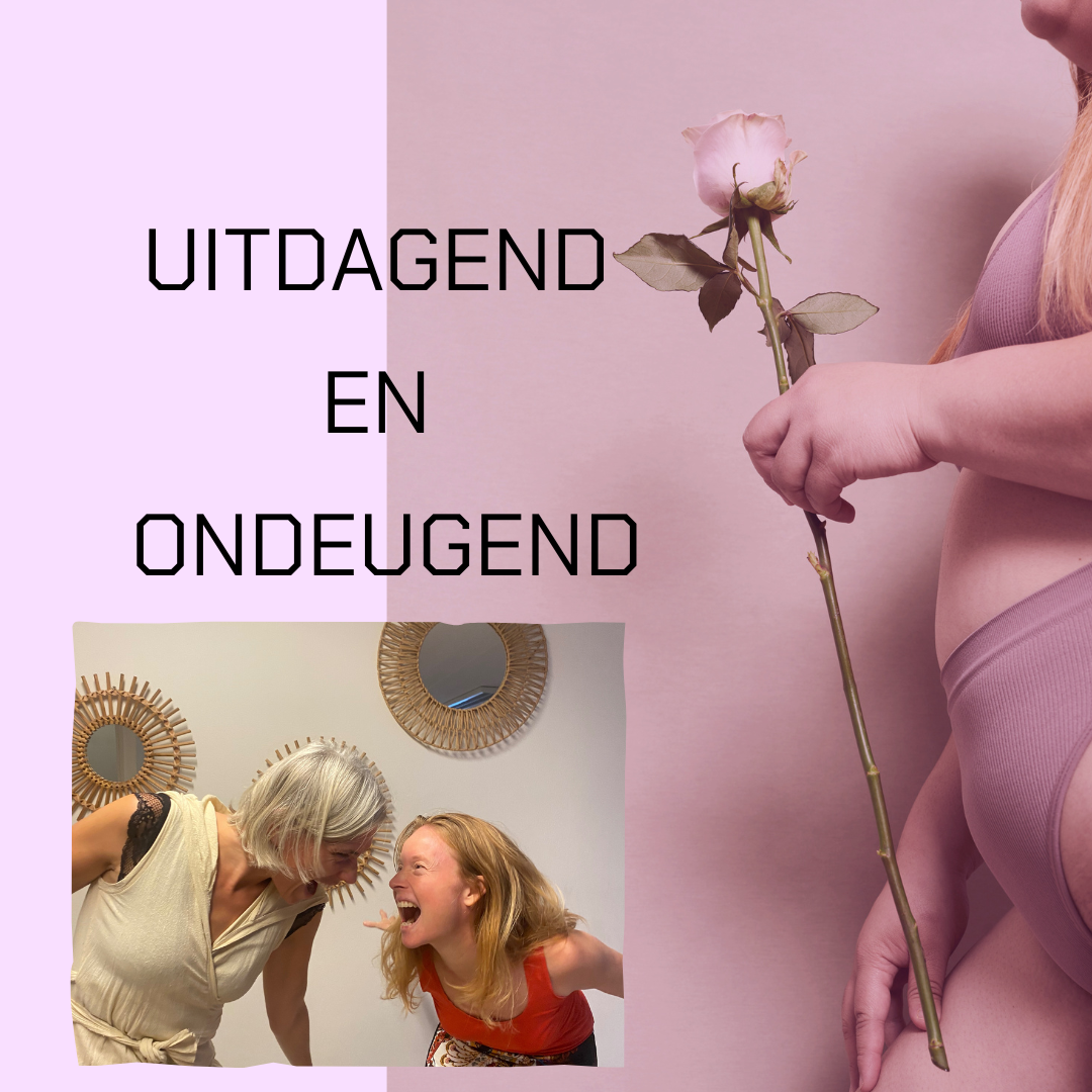 workshop uitdagend en ondeugend