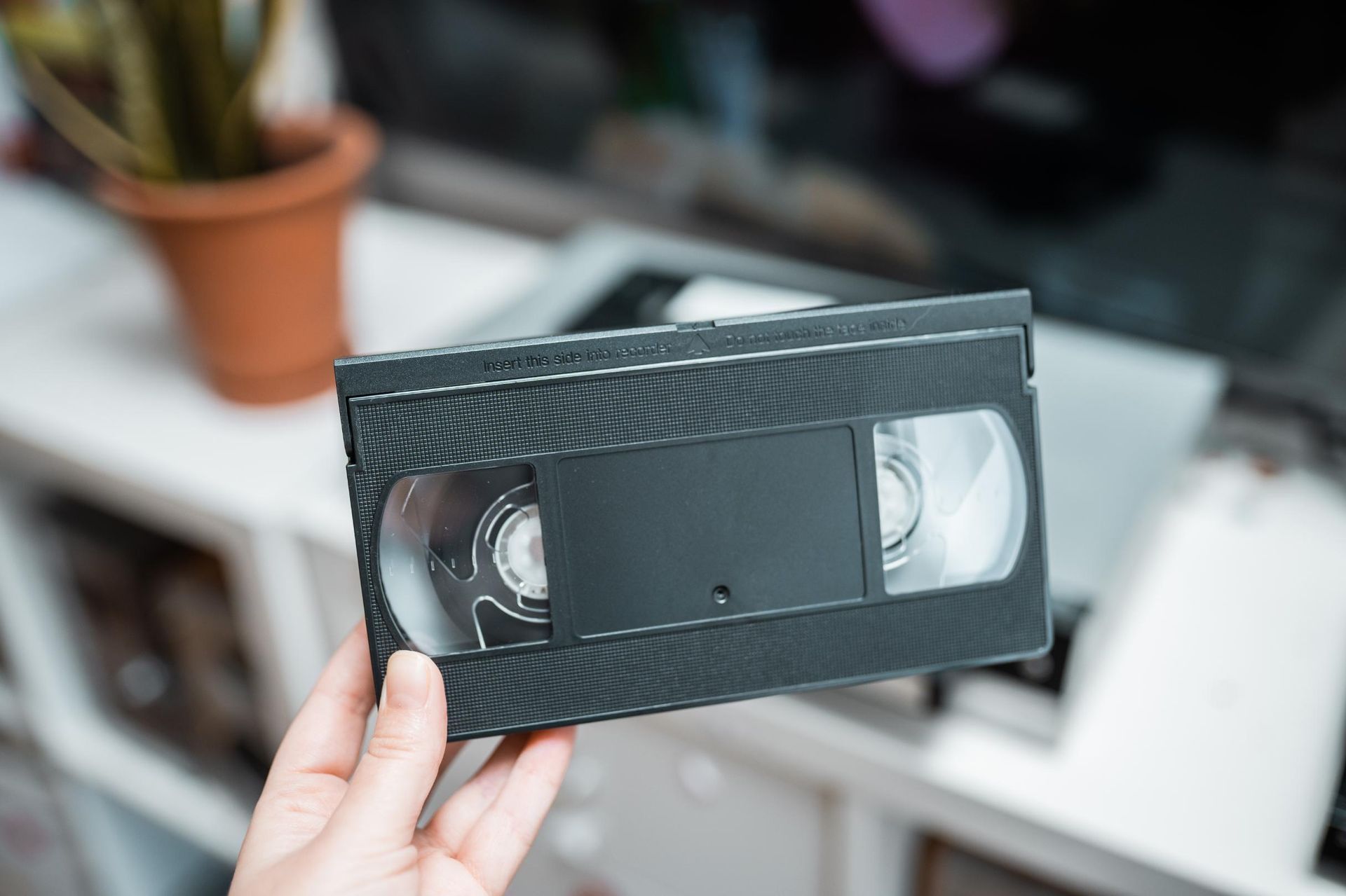 Hand holding a black VHS tape in front of a shelf and a plant.