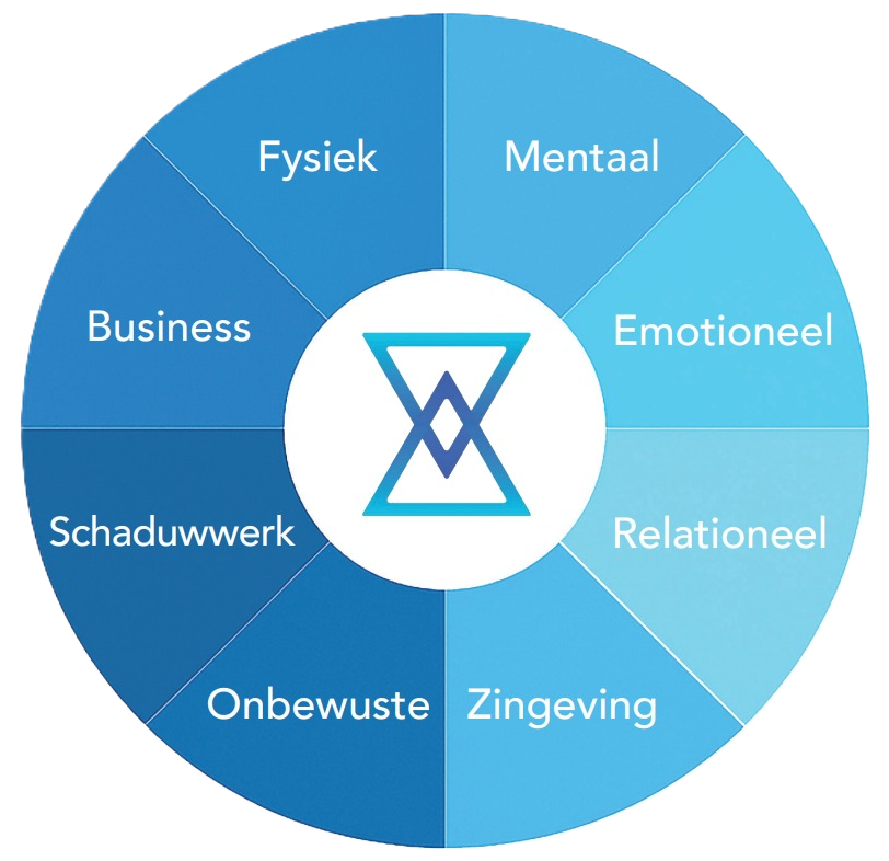 Blauw wieldiagram met segmenten: Fysiek, Mentaal, Emotioneel, Relationeel, Betekenis, Onbewust, Schaduwwerk en Zakelijk.