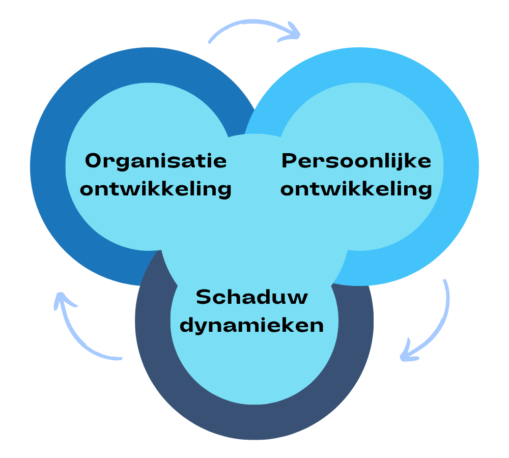 Diagram met drie overlappende blauwe cirkels: Organisatiedynamiek, Persoonlijke ontwikkeling en Schaduwdynamiek. Cirkelvormige pijlen geven interacties weer.