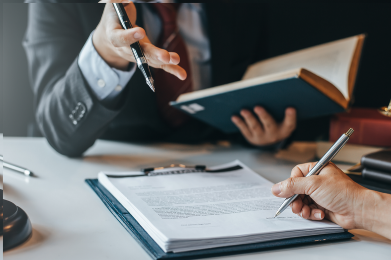 Tall redwood trees reaching towards the sky, their reddish-brown bark contrasting with green leaves.