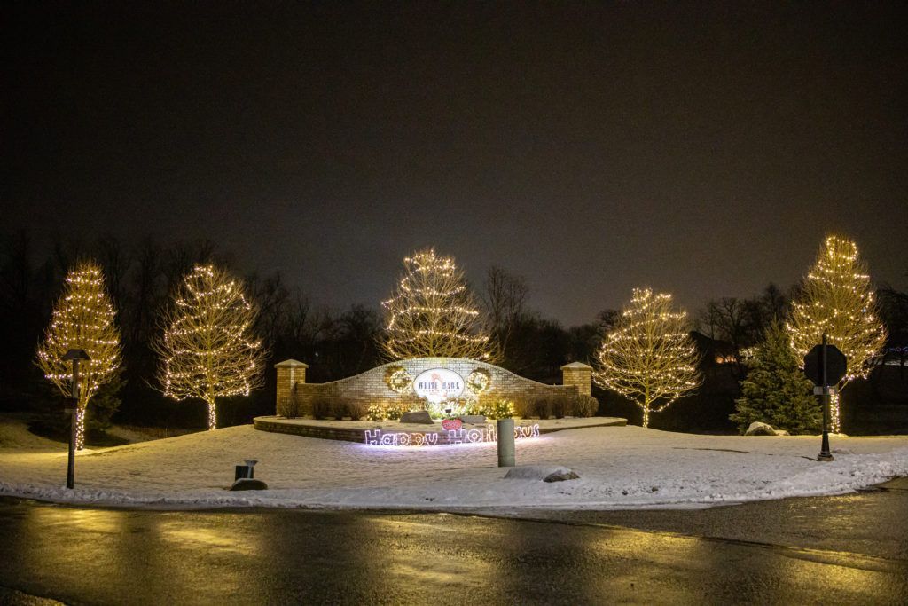 A group of trees are lit up with christmas lights at night.
