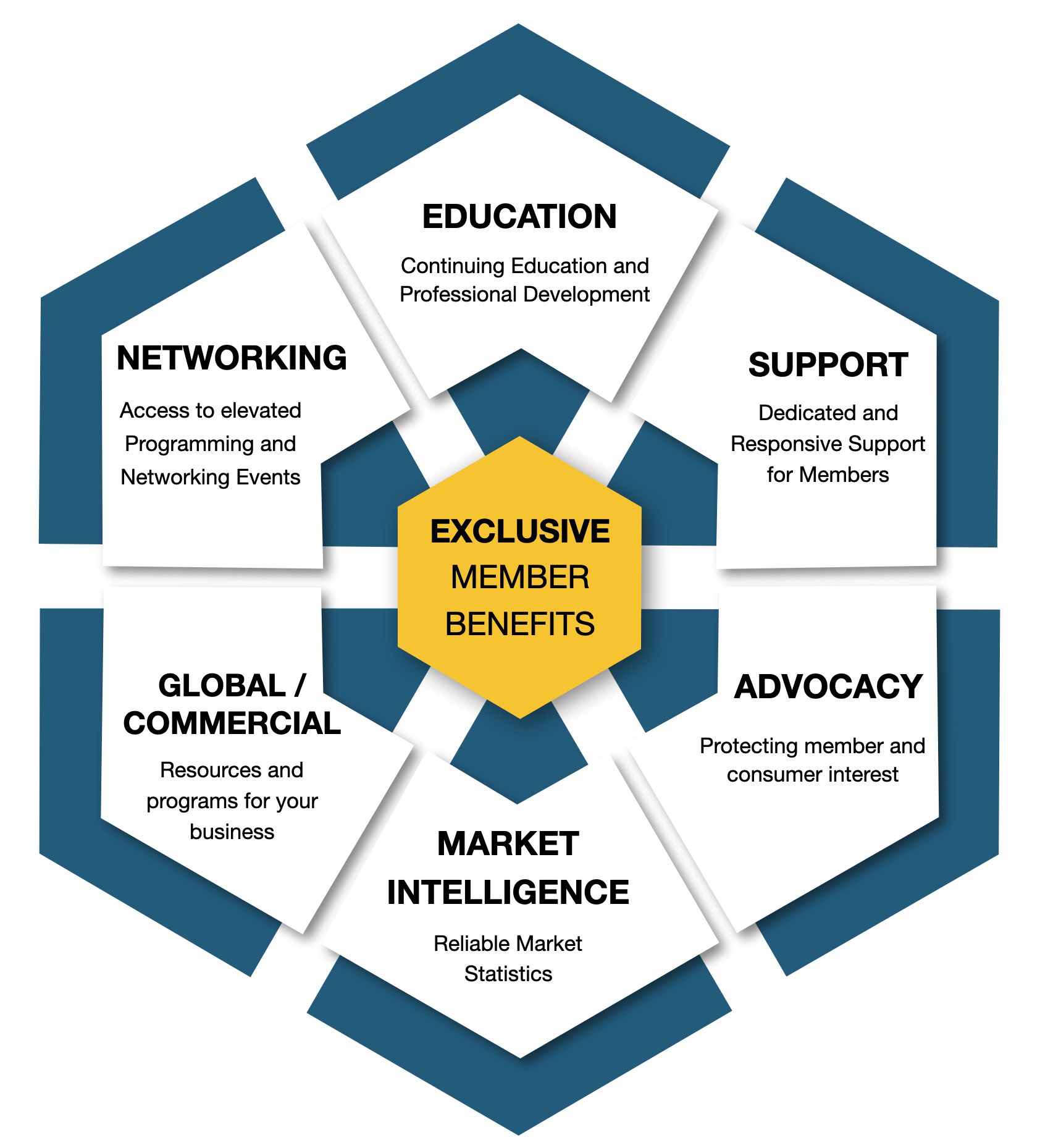 Exclusive Member Benefits: Education, Support, Advocacy, Market Intelligence, Global/Commercial, and Networking