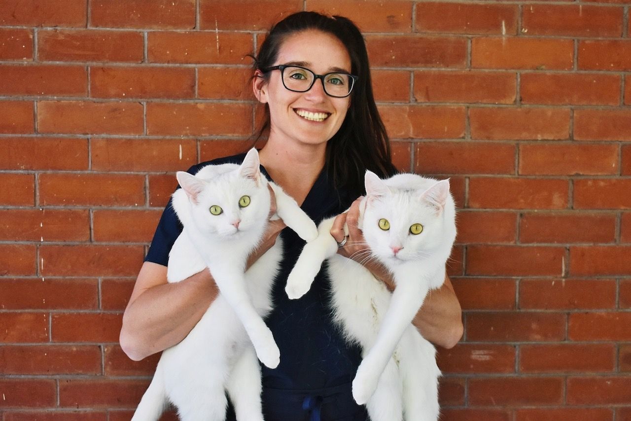Sydney — Spokane, WA — The Cat’s Meow Feline Veterinary Clinic