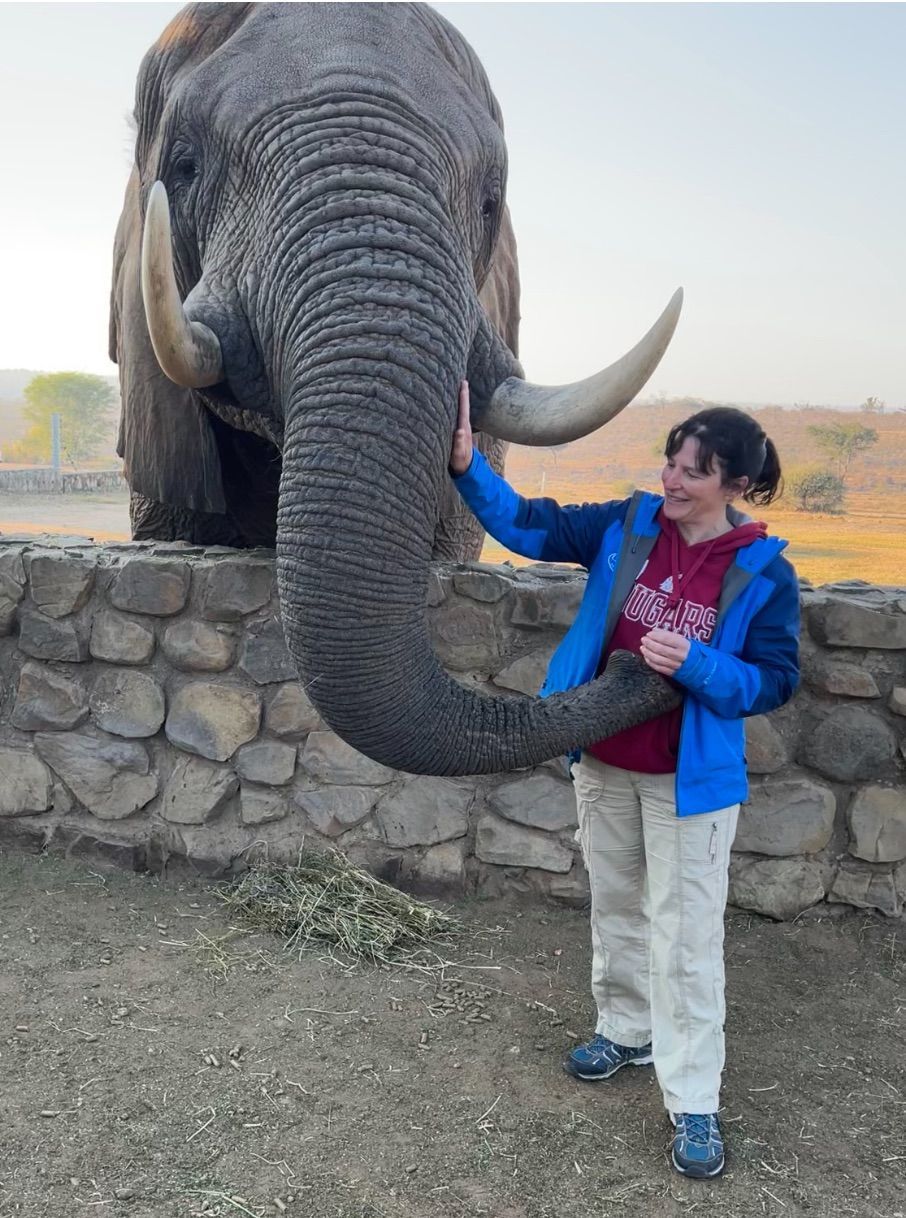 Woman petting elephant's trunk at a stone wall enclosure; elephant's tusks are large.
