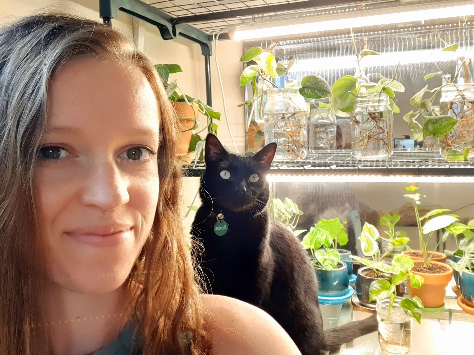 Kelsey — Spokane, WA — The Cat’s Meow Feline Veterinary Clinic