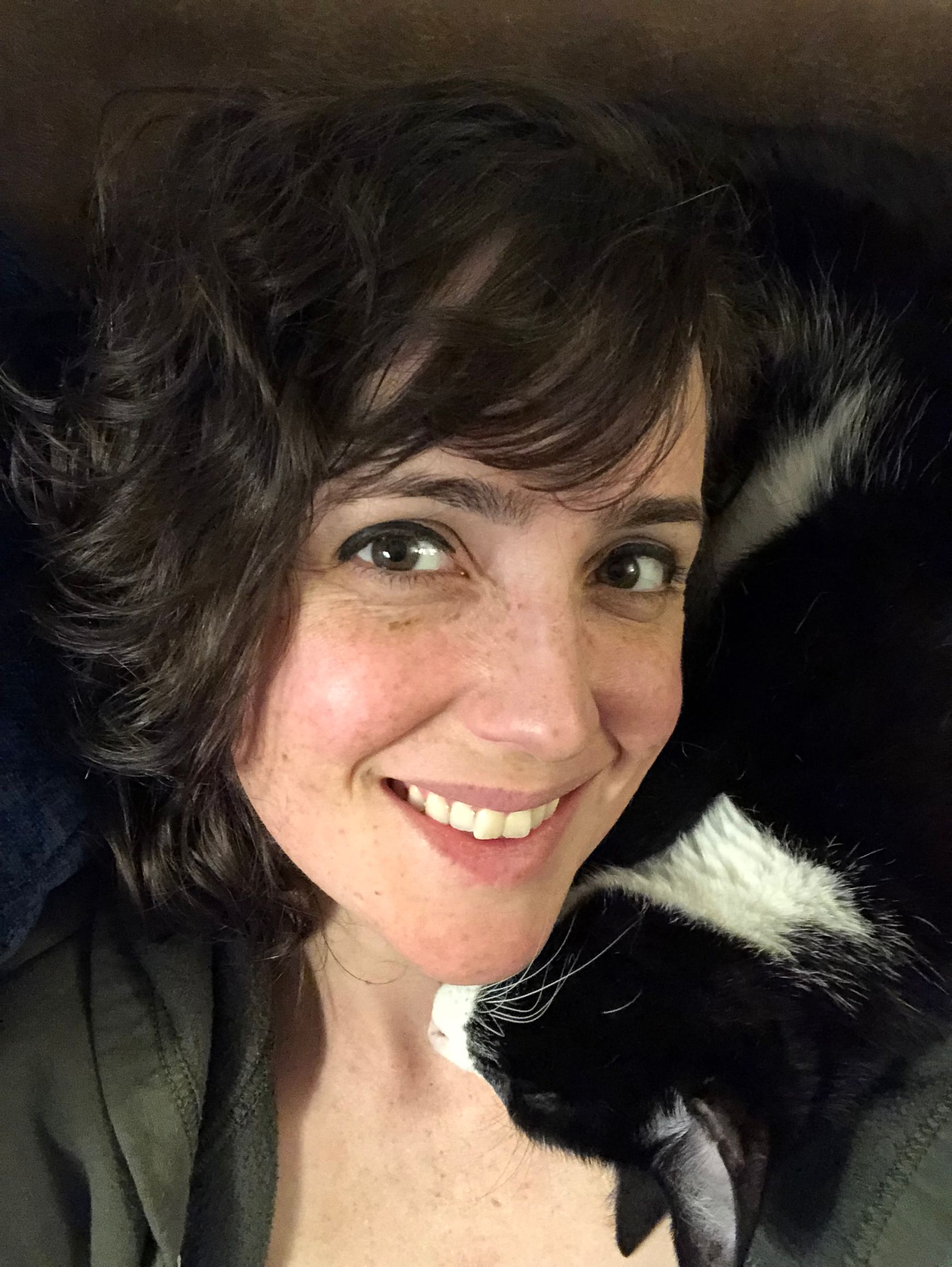 Dr Kelsey Quinn — Spokane, WA — The Cat’s Meow Feline Veterinary Clinic
