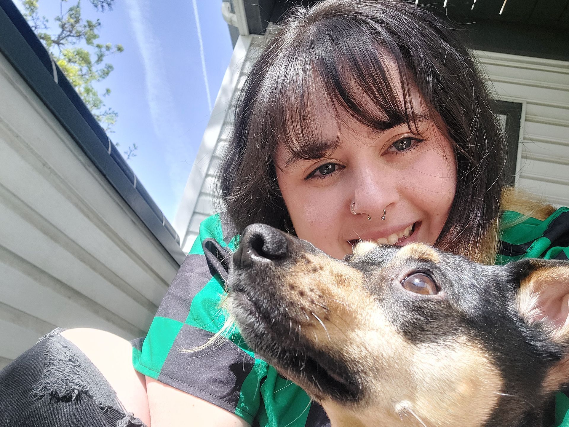 Tatum — Spokane, WA — The Cat’s Meow Feline Veterinary Clinic