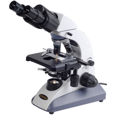 A white and gray compound microscope with eyepieces and objective lenses, used for scientific observation.
