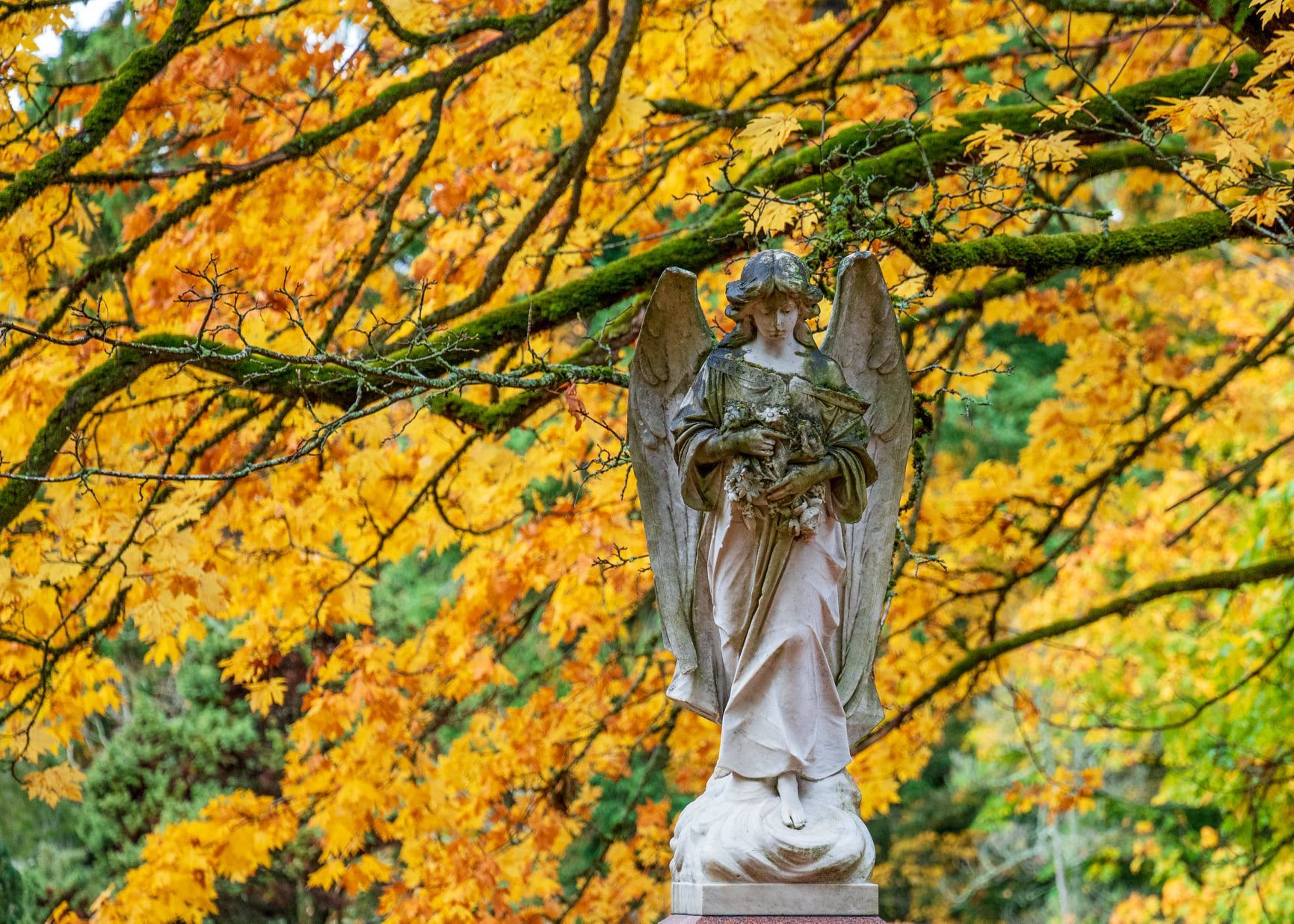 Angel Eyes - Bayview Cemetery Bellingham WA