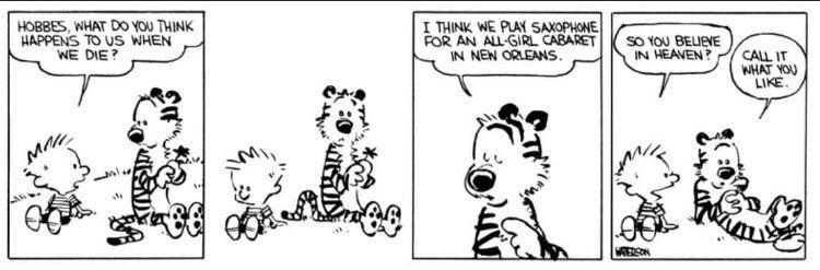 Calvin & Hobbes Cartoon