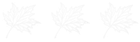 É um desenho de uma planta em um fundo branco.