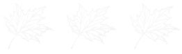 É um desenho de uma planta em um fundo branco.