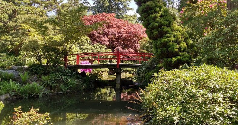 Bridge in Kubota Garden