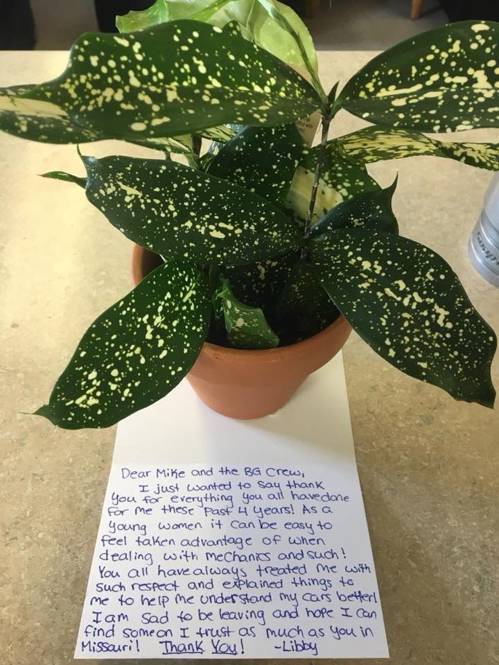 Handwritten-Letter | BG Automotive