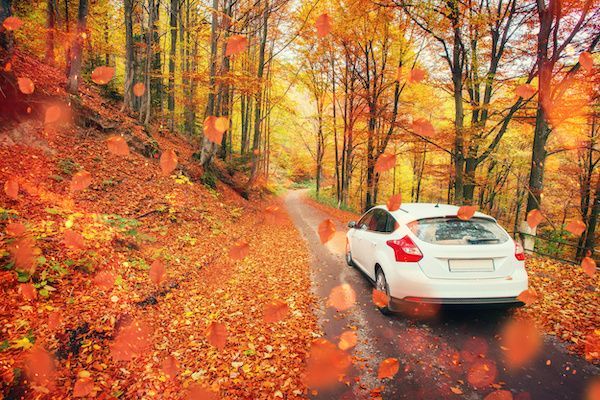 Fall-Maintenance | BG Automotive - Fort Collins, Webster Avenue