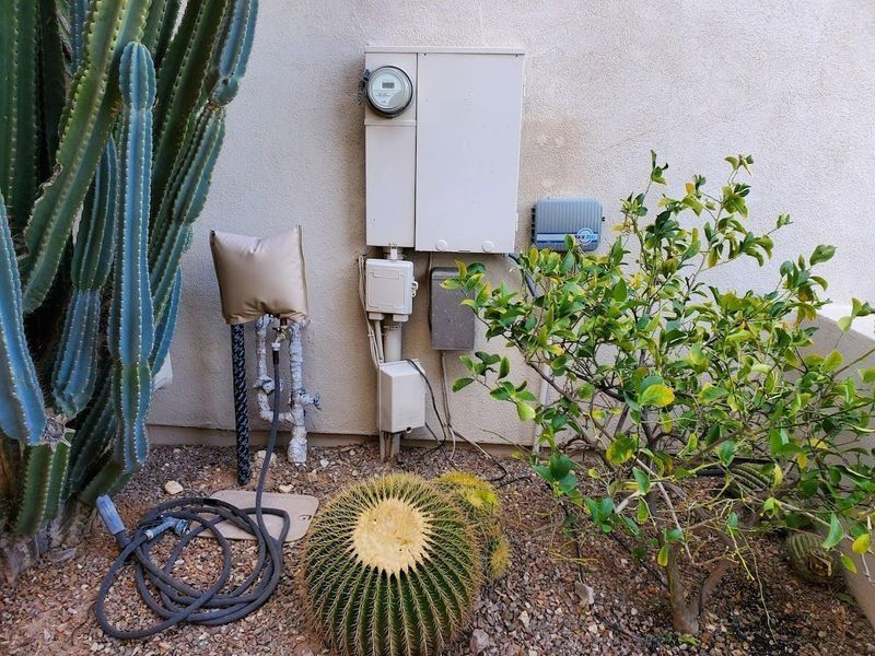 Outdoor electrical box, meter, and water spigot next to a cactus and other plants.