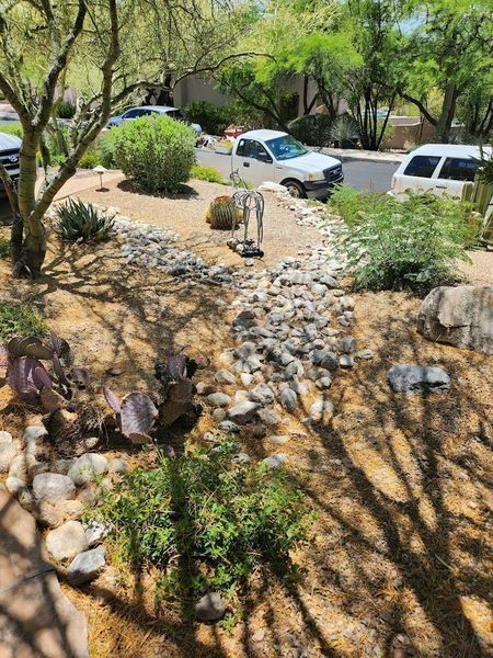 Desert landscaping with rocks, plants, and a small water feature in front of a street with parked cars.