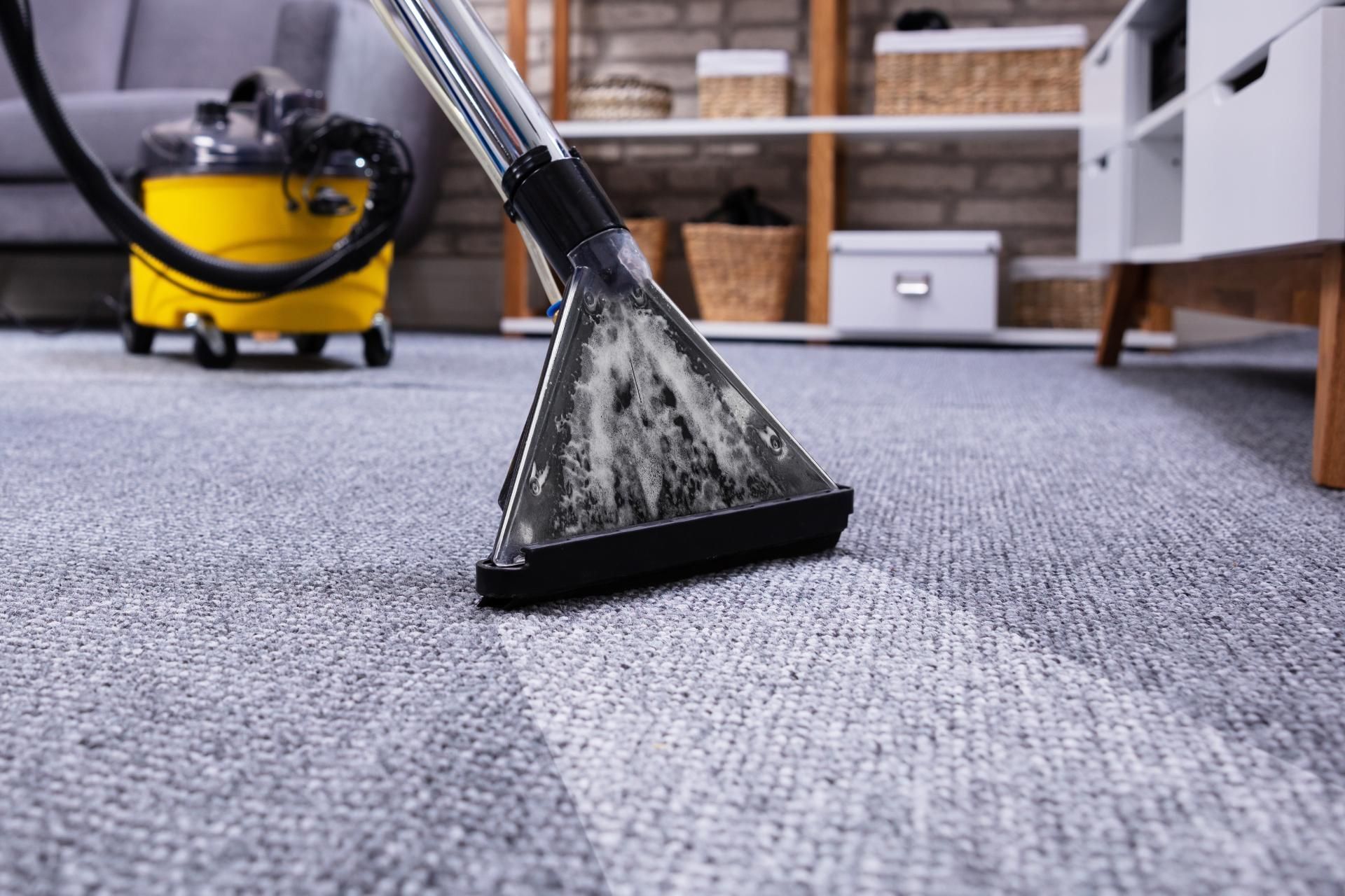 A vacuum cleaner is cleaning a carpet in a living room.