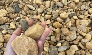 Hand holding several smooth tan and gray pebbles over a pile of small stones