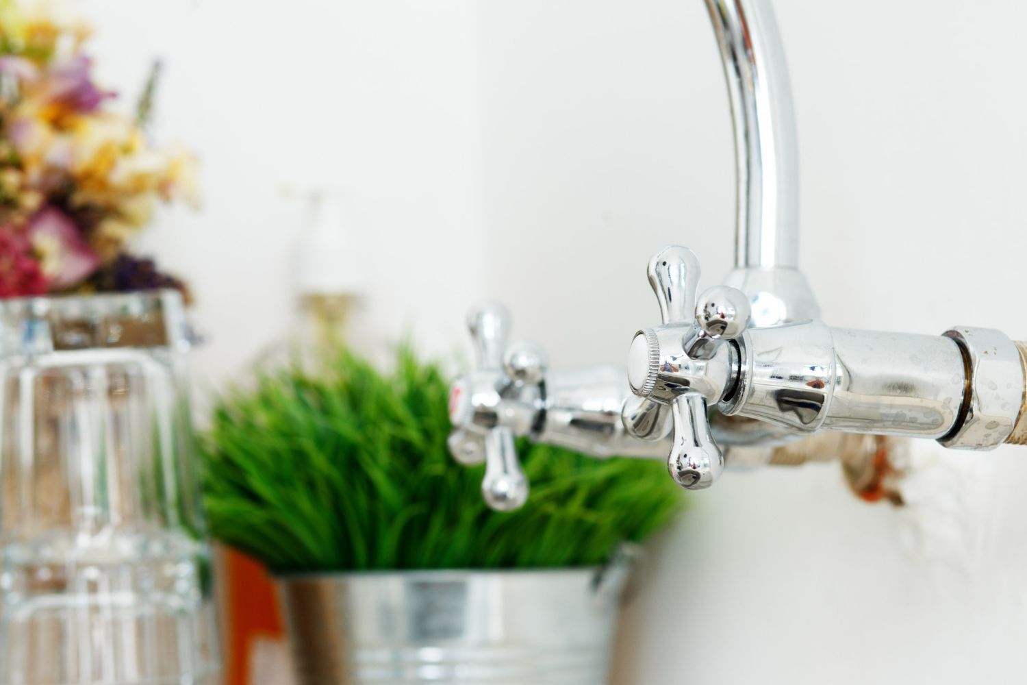 A close up of a faucet with a plant in the background.