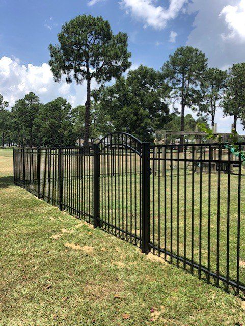 Black metal fence with arched gate in a grassy field, trees in the background, blue sky.