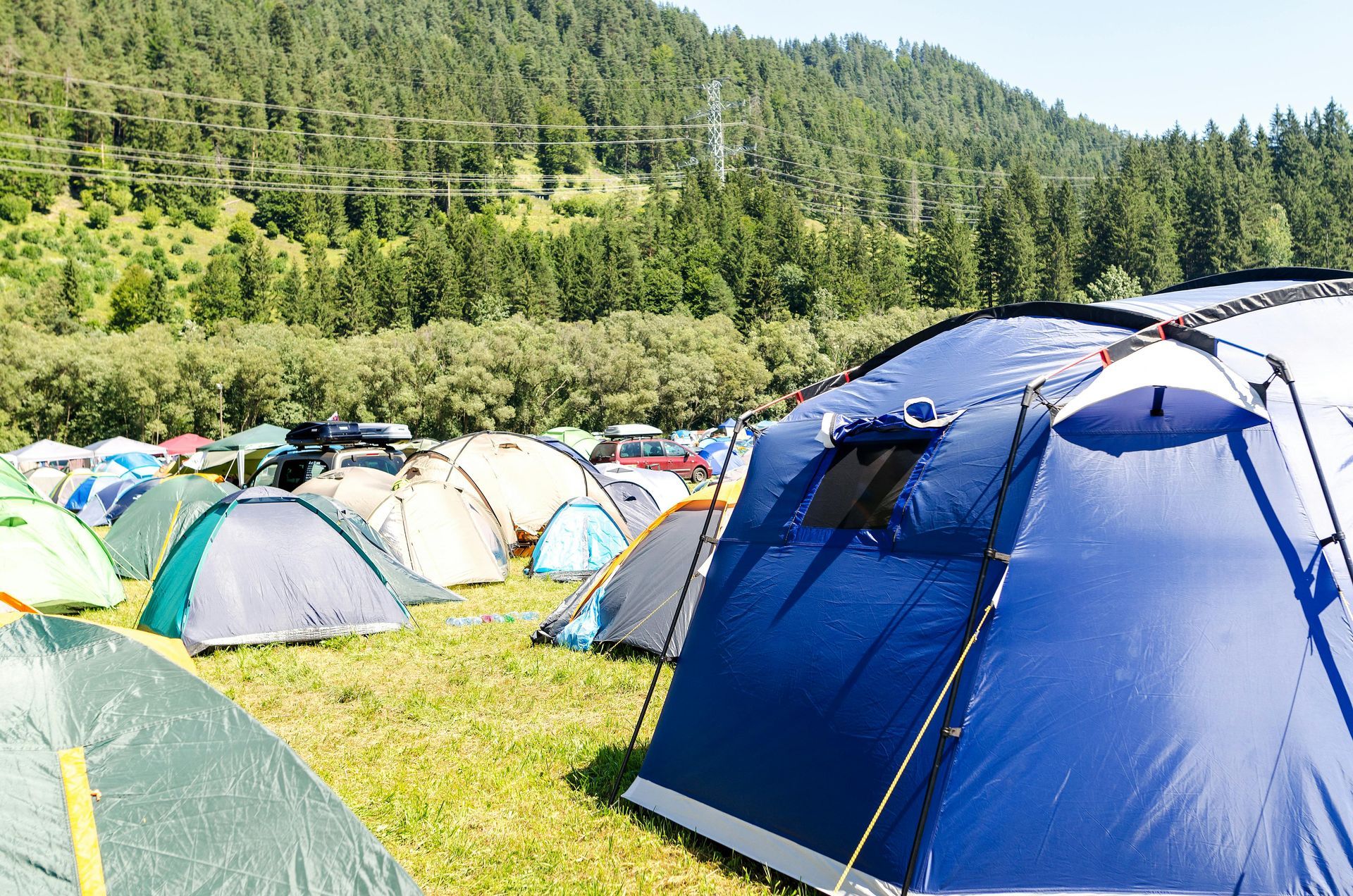 Camping tents on a grassy field with a forest and mountain in the background. Blue tent in the foreground.