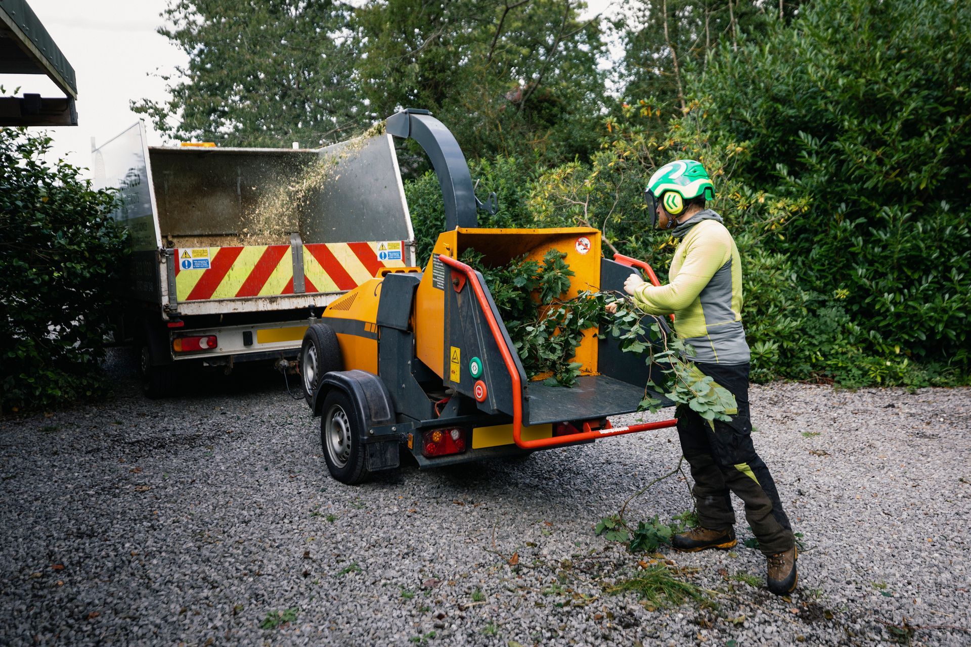 A person is cutting a tree branch with a pair of scissors.