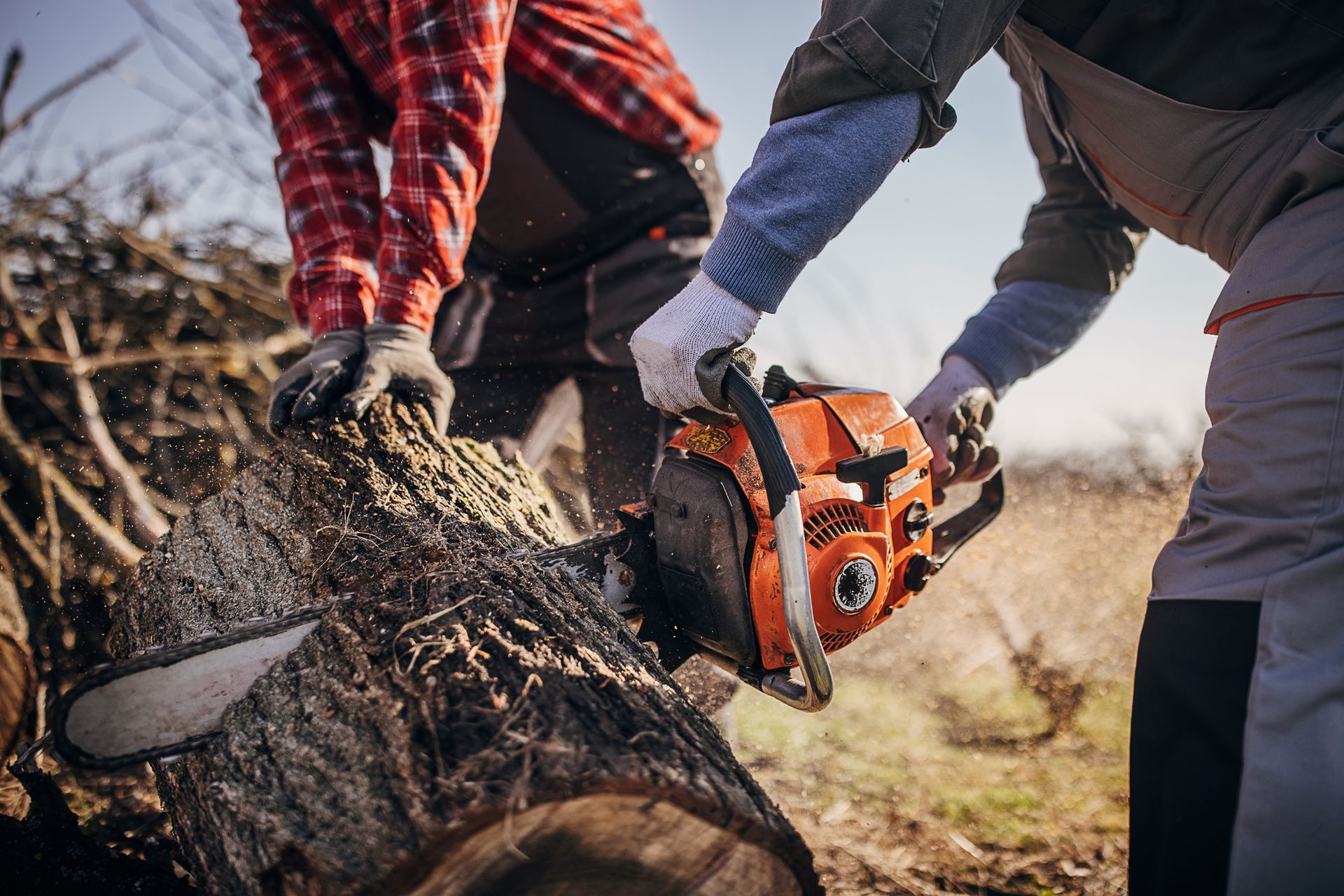 Two men are cutting a tree trunk with a chainsaw.