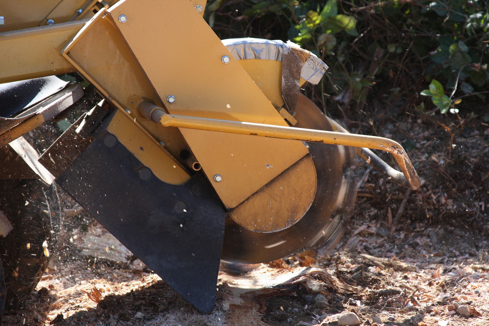 A close up of a stump grinder cutting a tree stump.