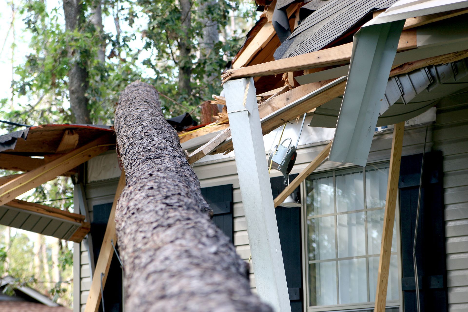 A tree has fallen on the roof of a house.