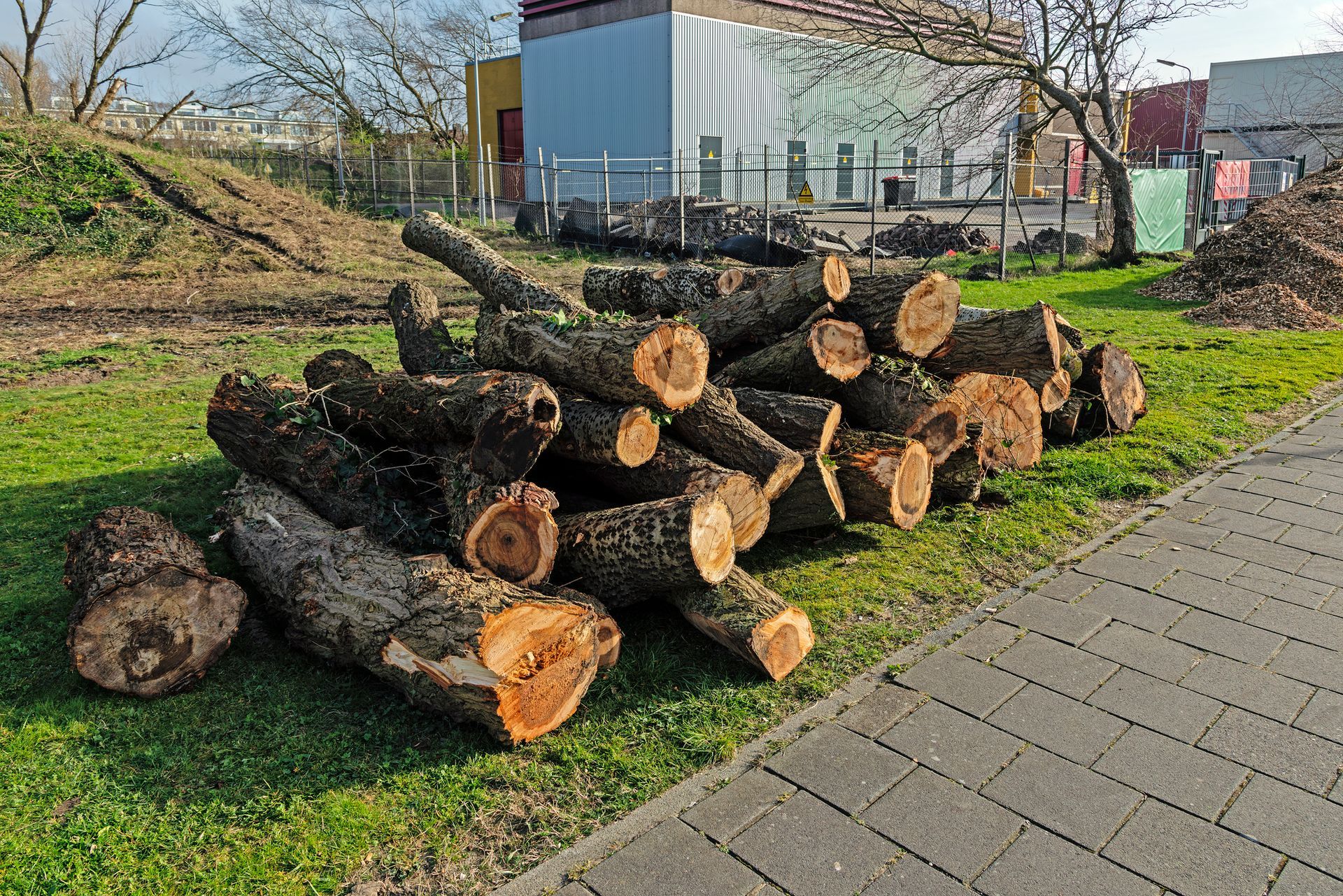 A pile of logs is sitting on the grass next to a sidewalk.