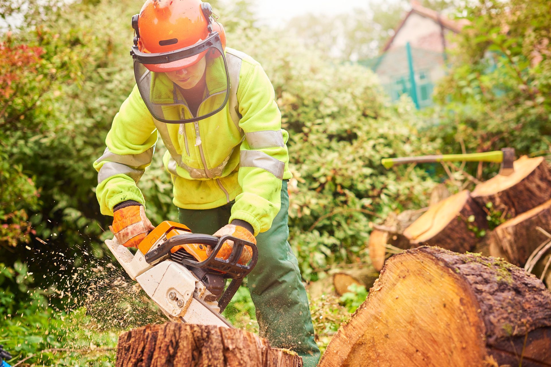A man is cutting a tree stump with a chainsaw.