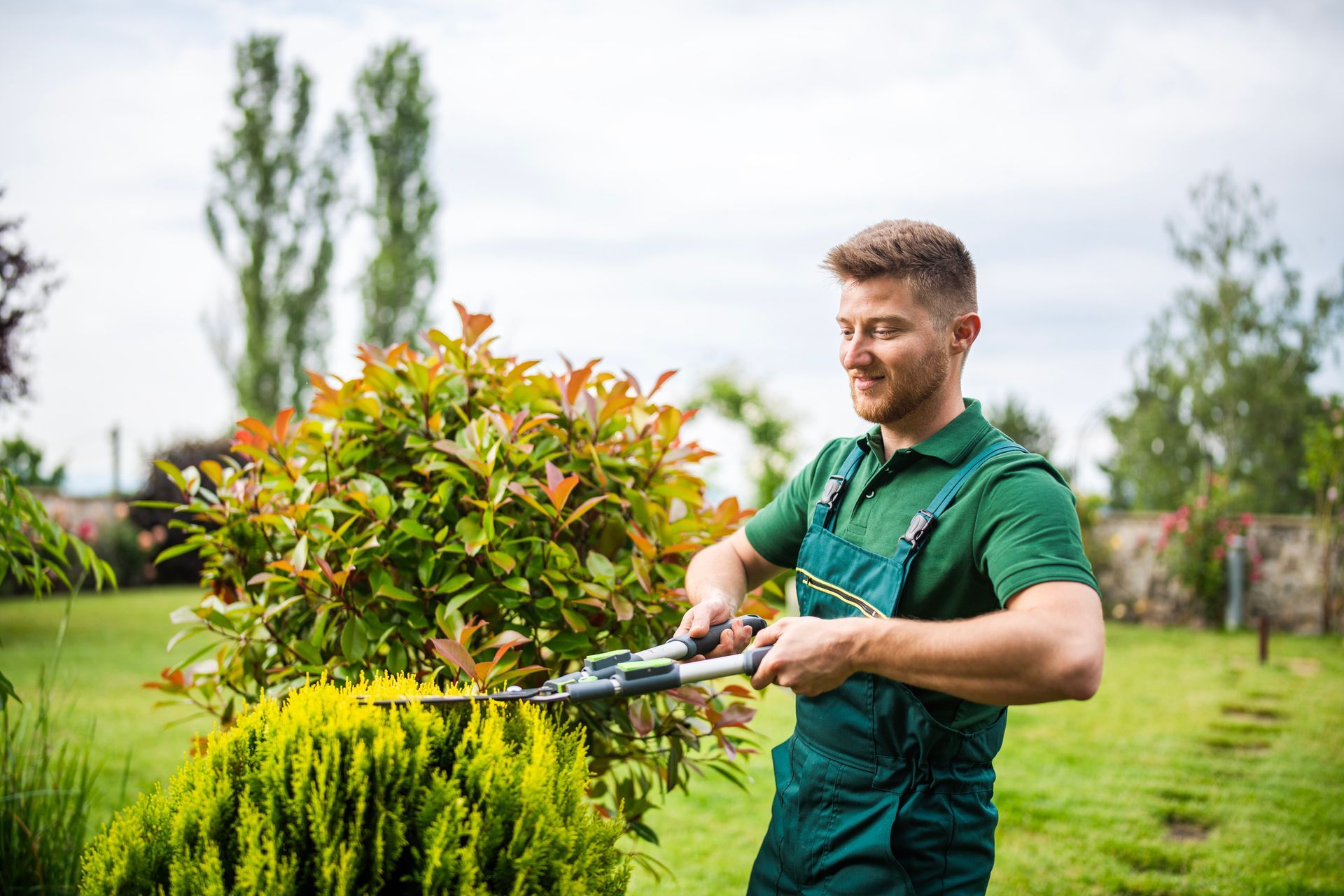 A professional gardener trimming hedge as part of expert tree trimming service maintenance work.