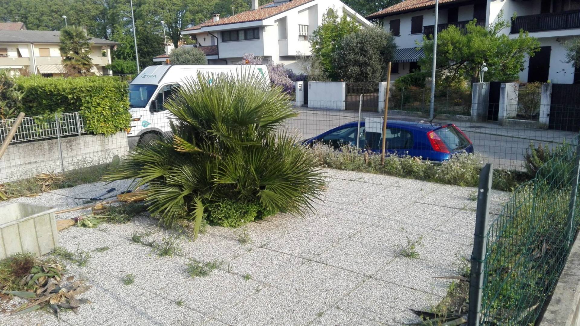 Piccolo giardino da rinnovare