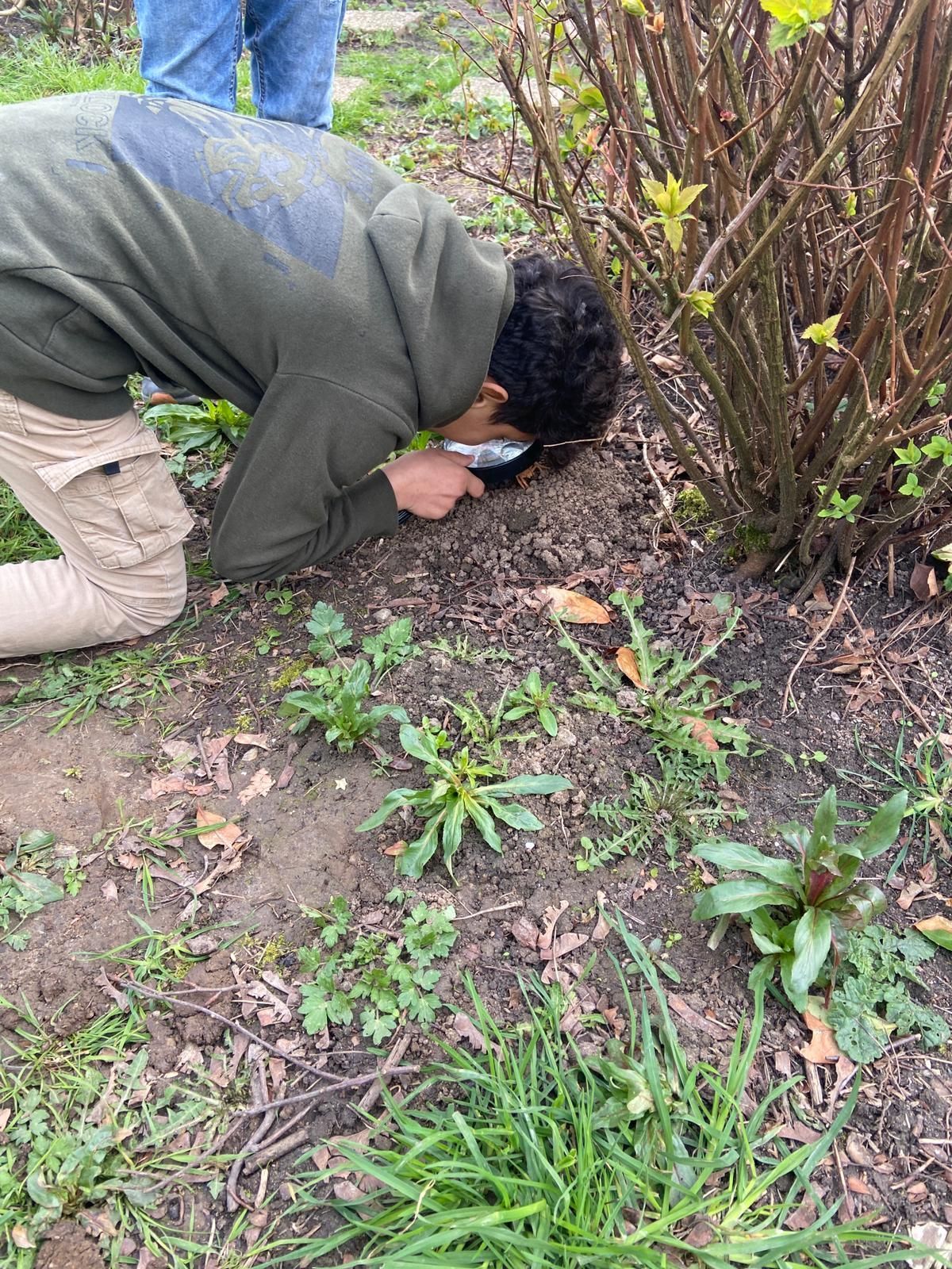 A man is kneeling down in the grass looking through a magnifying glass.