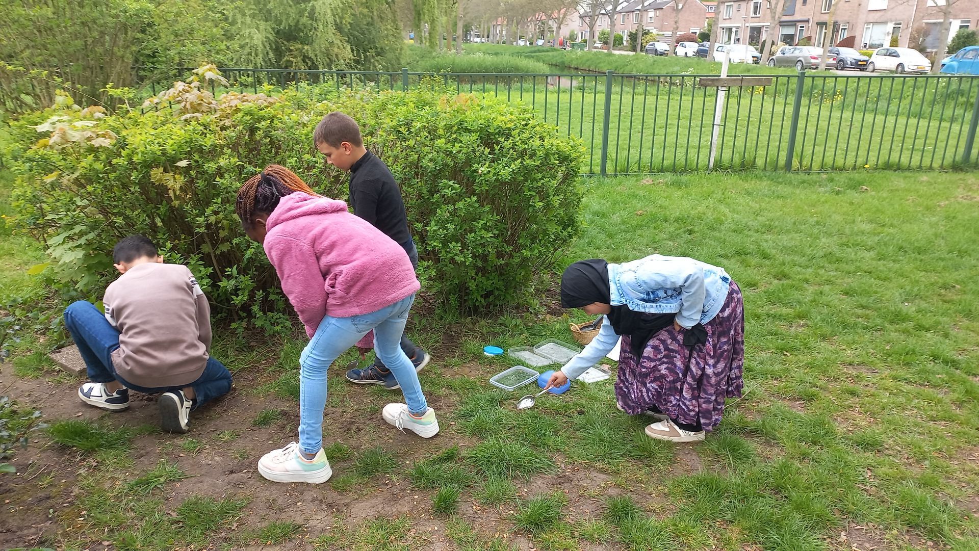 A group of people are cleaning the grass in a park.