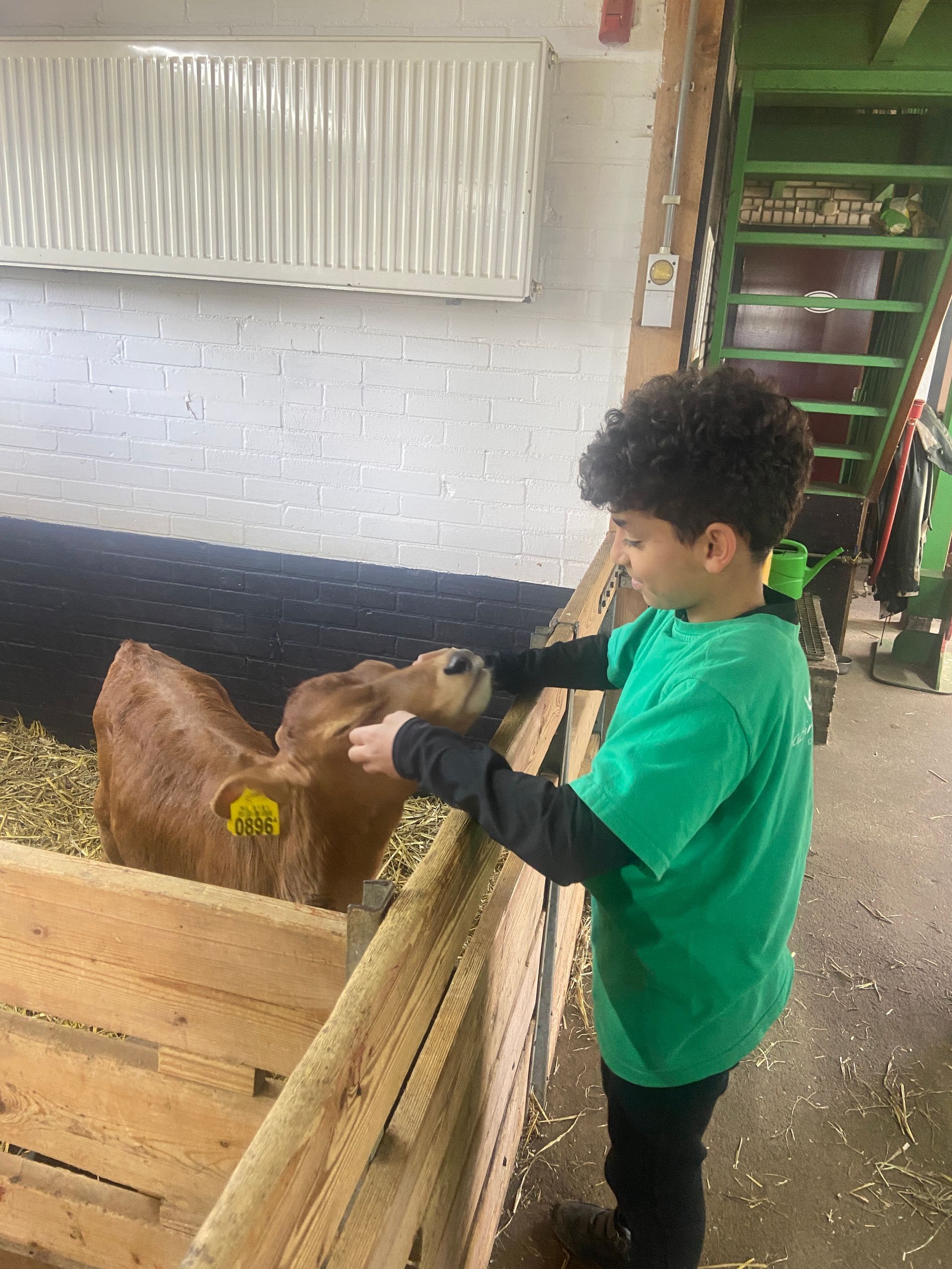 AZC school Het Uitzicht op schoolreisje naar de Binnenmaas