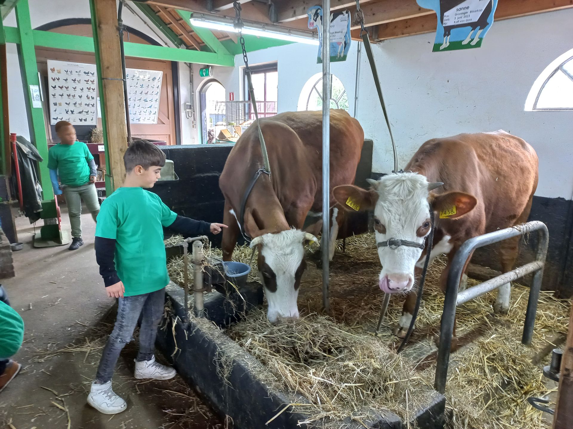 AZC school Het Uitzicht op schoolreisje naar de Binnenmaas