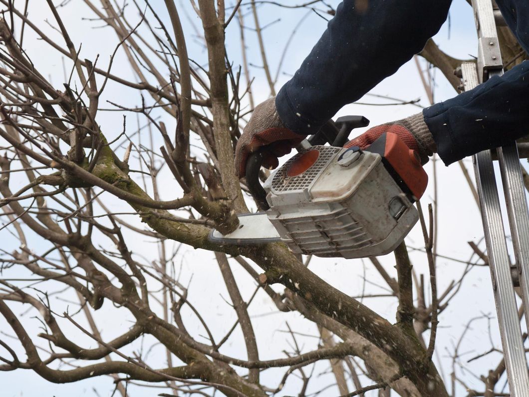 Person using a chainsaw to cut tree branches in winter.