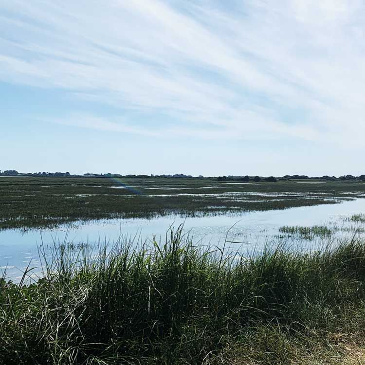 Pagham Harbour near Bognor Regis