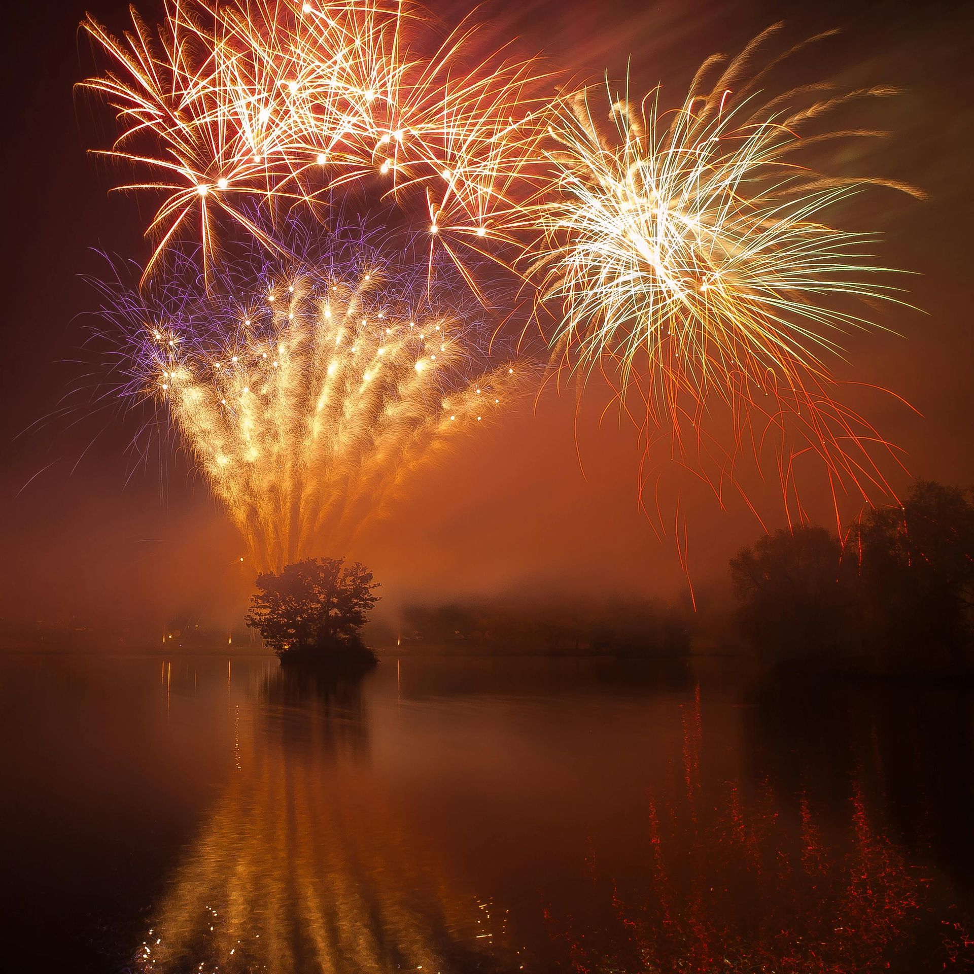 Bonfire night in Arun West Sussex
