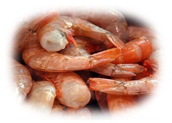 Shrimp 10/15 — Edinburg, TX — Vera’s King-O-Meats, Inc