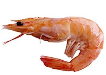 Shrimp 26/30 — Edinburg, TX — Vera’s King-O-Meats, Inc