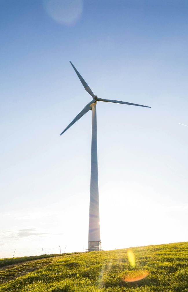 Wind turbine against a bright blue sky, set in a green field, sun shining.